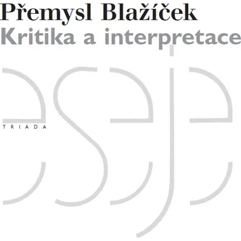 Kniha Kritika a interpretace