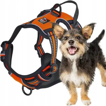 Postroj pro psa BEZTLAKOVÉ POSTROJE typu GUARD pro psa ELITE S lalazoo oranžové