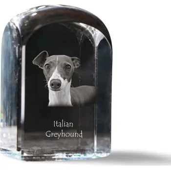 Obraz Chrtík italský fotografie v křišťálu, památka, trofej, těžítko na papír