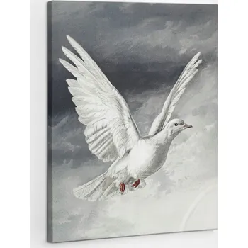 Obraz Foto-Obraz na plátně na rámu Vertikální Bílý holub Duch Svatý 60x80 cm