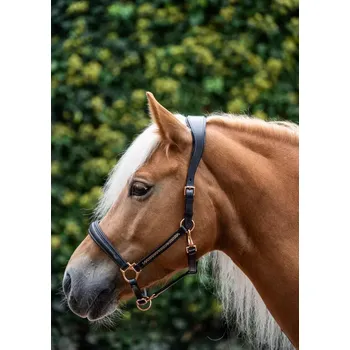 Kožená ohlávka Makari SILVANO