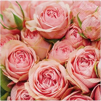 Papírový ubrousek Papírový ubrousek čtvercový 33 cm x 33 cm