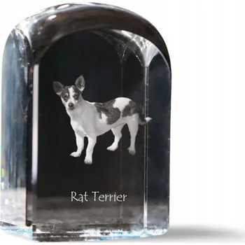 Obraz Kryształ s fotografií Rat Terriera, památka, trofej, těžítko na papír