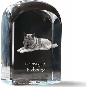 Obraz Elkhund – fotografie v křišťálu, památka, trofej, těžítko na papír