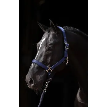 Bezpečnostní kamera Uzda Covalliero 3 (celý) modrý