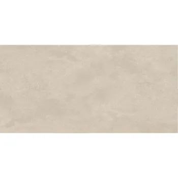 Dlažba DLAŽBA DESERT LOOK GREY LIGHT MAT 59,8X119,8