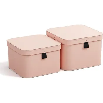 Úložný box Kartonové úložné boxy s víkem v sadě 2 ks Ludvig – Bigso Box of Sweden ID_1587876