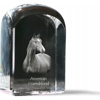Obraz Kůň Americký teplokrevník - fotografie v křišťálu, památeční těžítko
