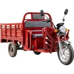 Sunway Cargo E-DSL100 45 Ah červená