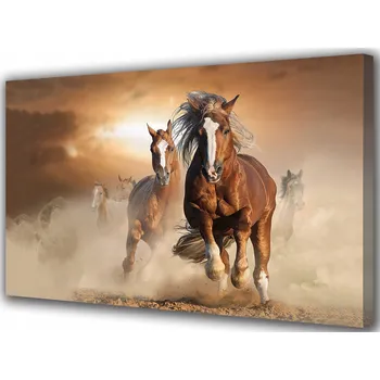 Obraz Obraz na plátně canvas Běžící cválající koně 30x20 cm