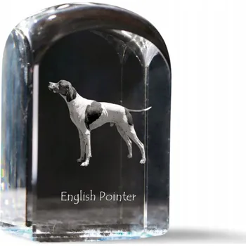 Obraz Fotografie v křišťálu, památka, trofej, těžítko na papír