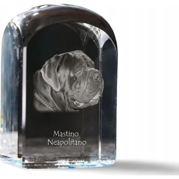 Obraz Neapolský mastif - fotografie v křišťálu, suvenýr, těžítko na papír