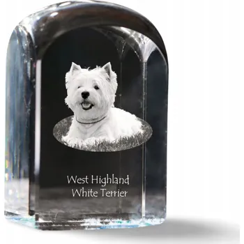 Obraz West Highland White Terrier – fotografie v křišťálu, památka, trofej
