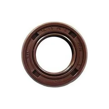 Motor pro motocykl Gufero 15×25×5 XMOTOS 250cc V4