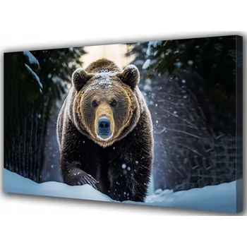 Obraz Obraz na plátně canvas Medvěd na sněhu Zvířata 30x20 cm