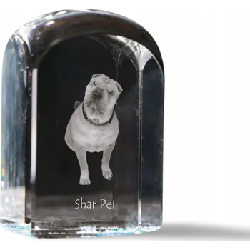 Obraz Shar Pei v křišťálu, památka, trofej, těžítko na papír