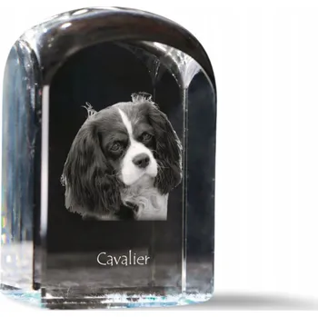Obraz Kavalír King Charles španěl - fotografie v křišťálu, památka, trofej
