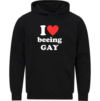 Pánská mikina Pánská mikina Miluju být gay I Love Beeing Gay (Velikost: 5XL, Barva: Černá)