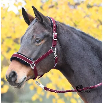 Ohlávka Busse -IDEAL- - Černá - Cob