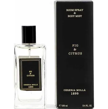 Osvěžovač vzduchu Cereria Molla Vonný sprej do bytu Fig and Citrus 100ml skleněný moderní