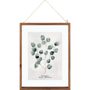 Obraz Listy Eukalyptový dřevěný rám