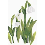 Zuty M10-040-050-501992 sněženky s rámem