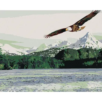 Zuty Malování podle čísel Mořský orel 40 x 50 cm