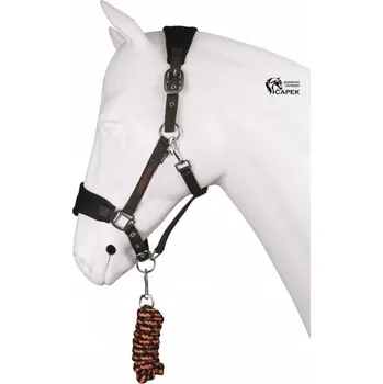 Ohlávka a vodítko Horka -RIDE MORE- - Khaki - Cob