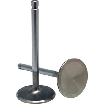 Sada sacích ocelových ventil AOKI 31.1334-2 vč. pružin (2 ks)