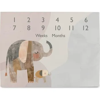 Dětská deka Ceba Podložka milníková na focení (92 x 72 cm) Basic Elephant Family