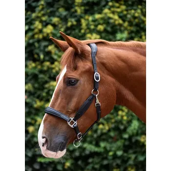 Kožená ohlávka Makari CANBERRA