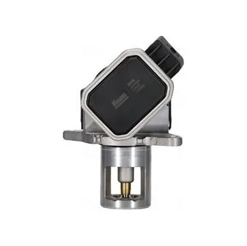 Ventil palivového systému AGR-Ventil NISSENS 98438