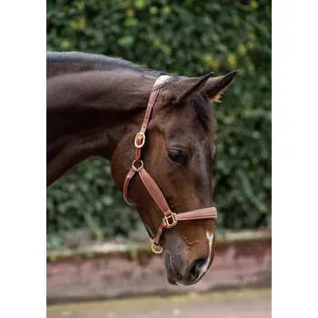 Kožená ohlávka Makari QUATTRINO