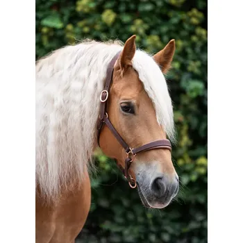 Kožená ohlávka Makari ALICANTE