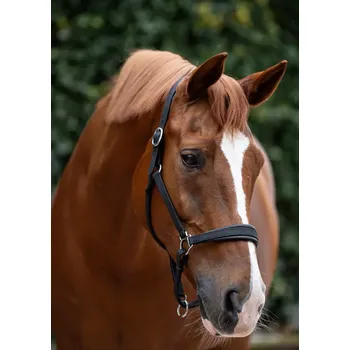 Kožená ohlávka Makari BOTTICELLI