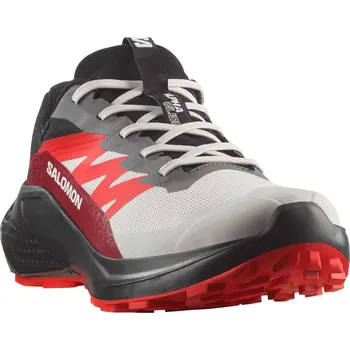 Pánská sportovní obuv Salomon Alphaglide GTX M L47802200 - lunar rock/black/biking red 45 1/3