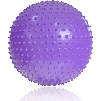 Gymnastický míč Gymnastický míč s masážními výstupky PROFIT 55 cm fialový DK 2104 - vel. N/A