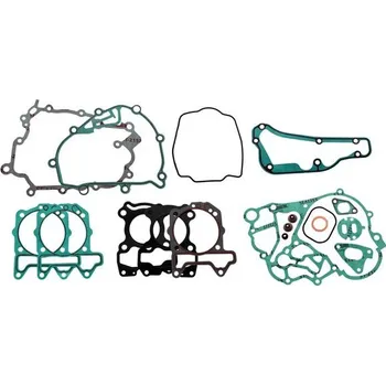 Těsnění motoru Těsnění motoru - sada RMS 100684250