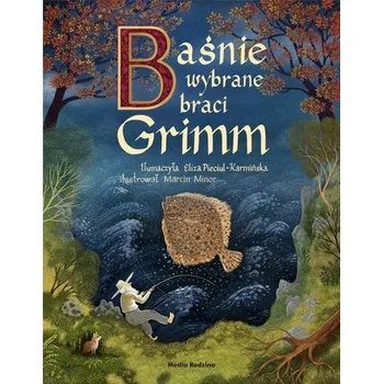 Pohádka Baśnie braci Grimm - Wilhelm Grimm