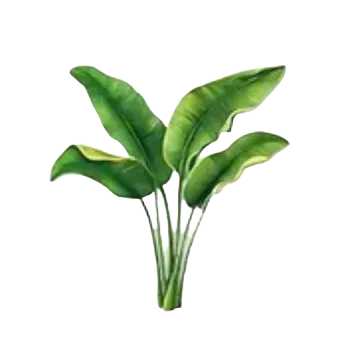 samolepka Samolepky - listy rostlin V (sada 5 ks)