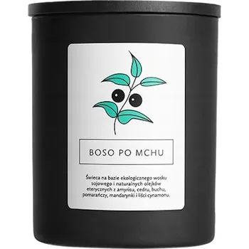 Svíčka Tradiční sójová svíčka – vůně lesa Hagi 1 ks