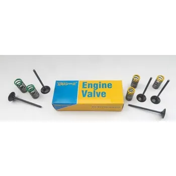 Válec motoru Sada výfukových ocelových ventilů AOKI 29.3407-1