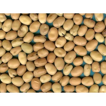 Krmivo pro koně Bob Koňský 1 kg