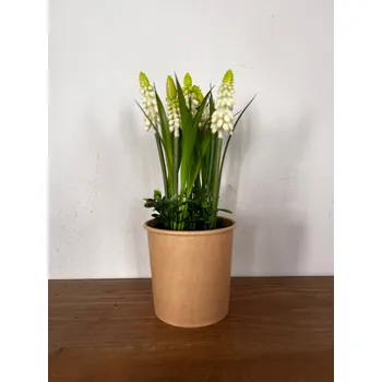 umělá květina Umělá květina Modřenec bílý