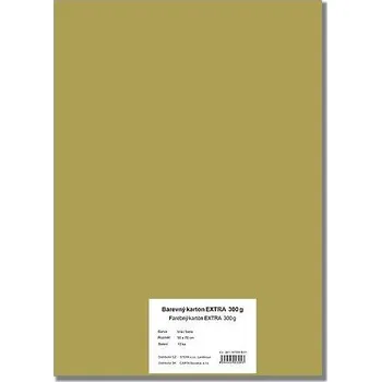 Karton Barevný karton Extra 300g 50x70cm, 10listů, zlatý