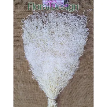 Gypsophila mini 100gr. bělená stabilizovaná