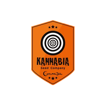 Semeno Kannabia Candy Cream Go Fast Akce 1+1 balení (Feminizovaná semena Candy Cream Go Fast)