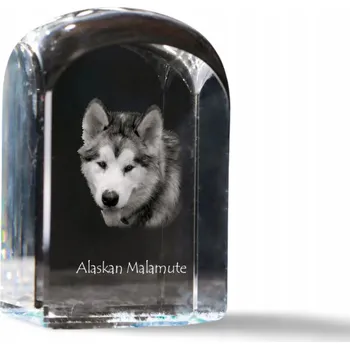 Obraz Aljašský malamut - fotografie v křišťálu, památka, trofej, těžítko na papír