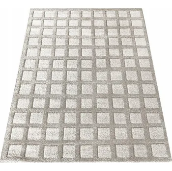 Koberec Koberec Cosy Shaggy Serenity 160x230 03 béžový