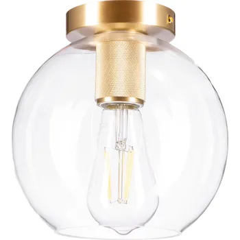 Stropní Svítidlo Ledigo bezbarvý